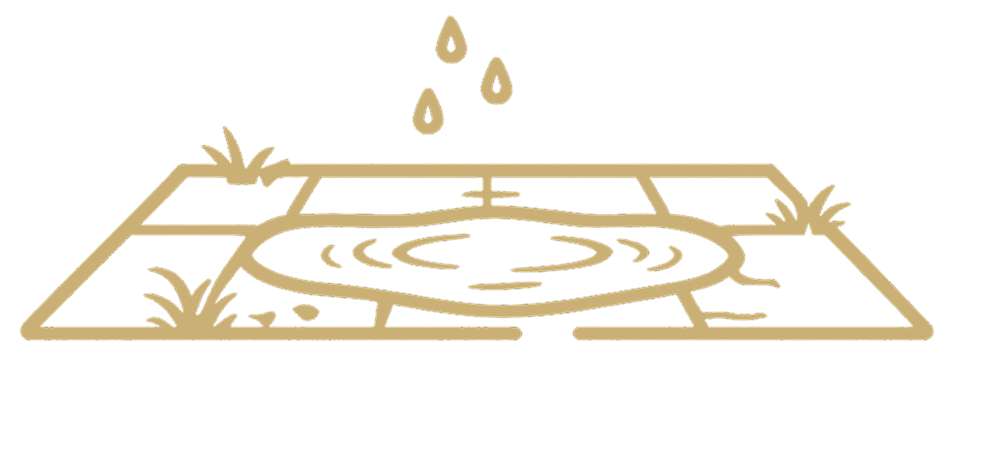 Low Areas and Drainage Concerns